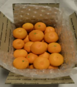 8 LB Mandarin Shipping Box