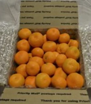 13 LB Mandarin Shipping Box