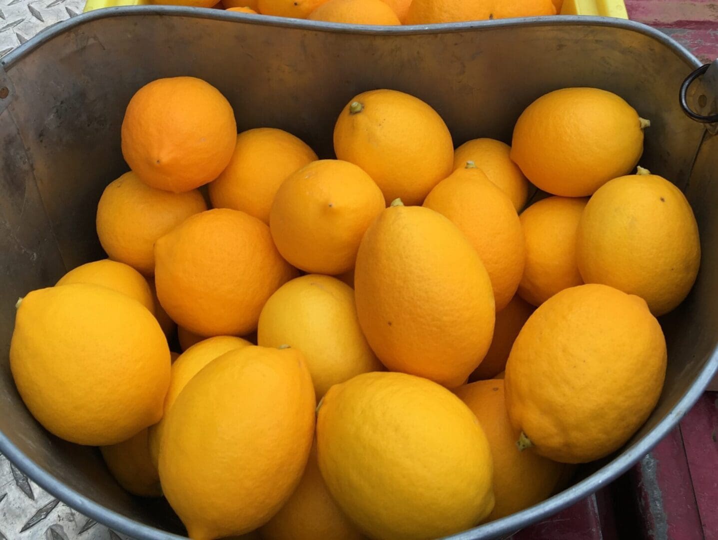 Meyer Lemons