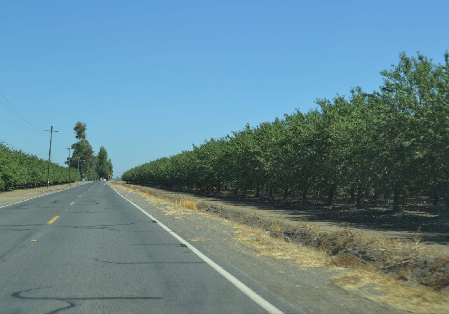 Hwy 40 orchards